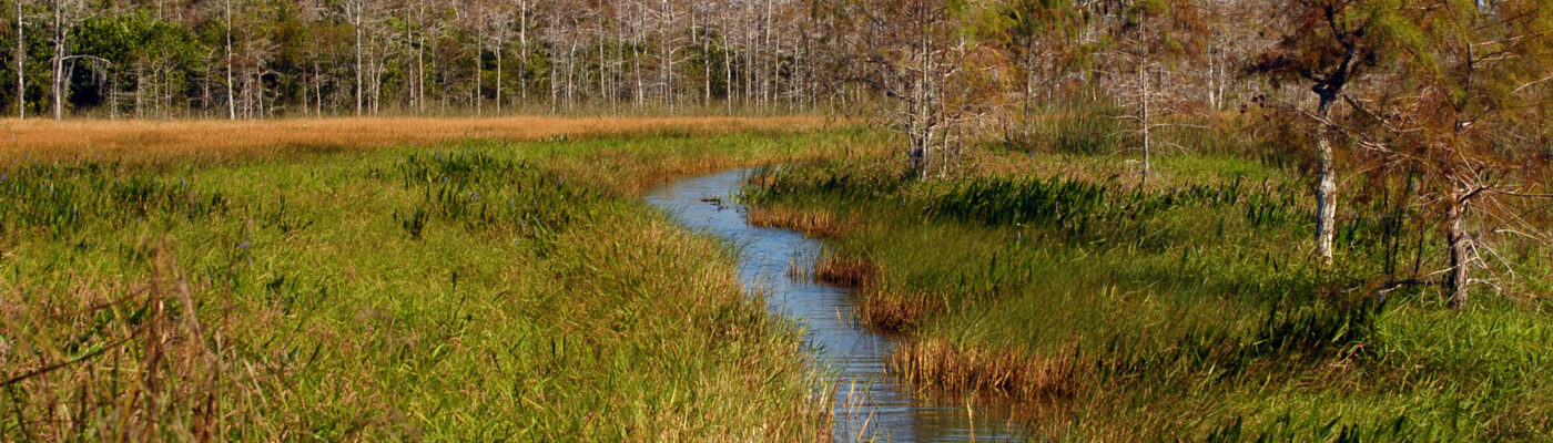 Pasco County Wildlife Habitat Protection Program, 2023 Update