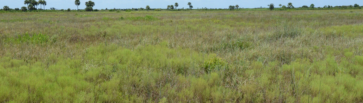 Conservation of the 27000-acre DeLuca Preserve